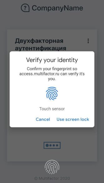 Authentication using biometrics